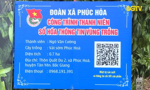 Chuyển đổi số để tiêu thụ vải thiều sớm ở Tân Yên
