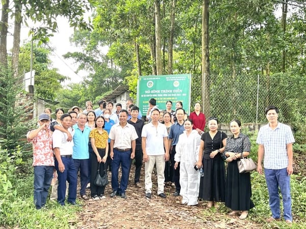 Nhân rộng chăn nuôi gà thịt bản địa theo mô hình hữu cơ